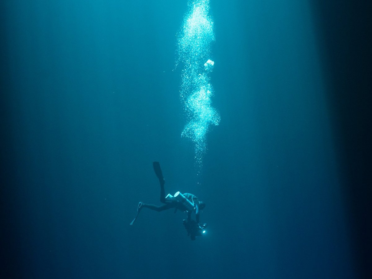 TAP Oct Nov 25 Deeper Movie